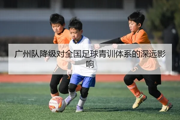广州队降级对全国足球青训体系的深远影响